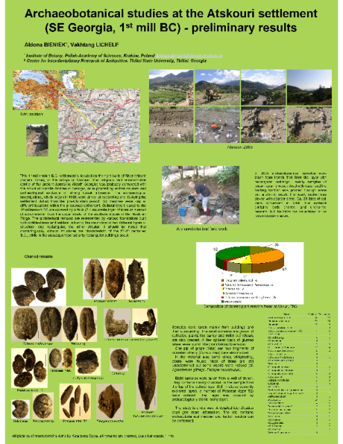 Bieniek A., Licheli V., Archaeobotanical studies at the Atskouri settlement (SE Georgia, 1st mill BC) – preliminary results