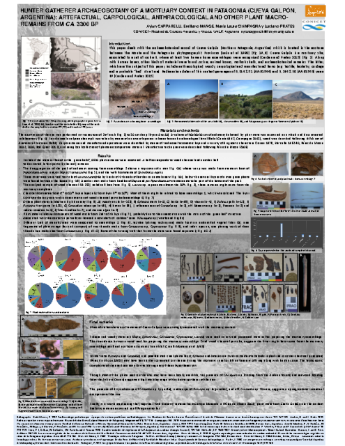Capparelli A., Mange E., Ciampagna M. L., Prates L., Hunter gatherer archaeobotany of a mortuary context in Patagonia (Cueva Galpón, Argentina): artefactual, carpological, anthracological and otherplant macro-remains from ca.3300 BP