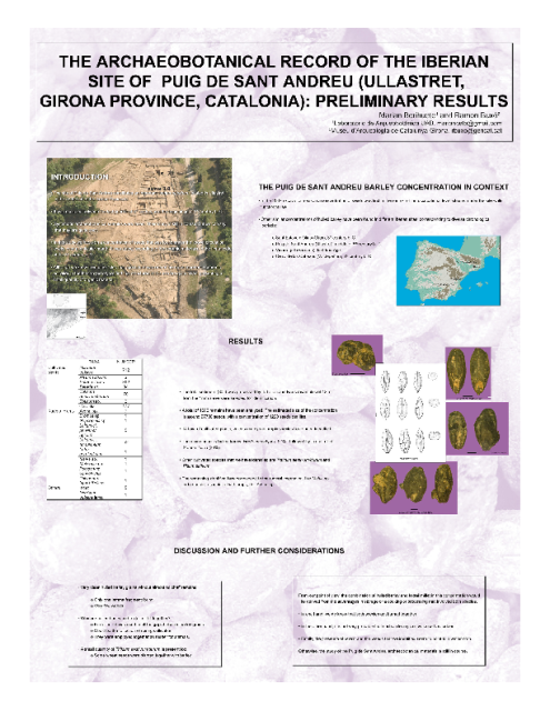 Berihuete M., Buxó R., The archaeobotanical record of the Iberian site of Puig de Sant Andreu (Ullastret, Girona province, Catalonia): Preliminary results