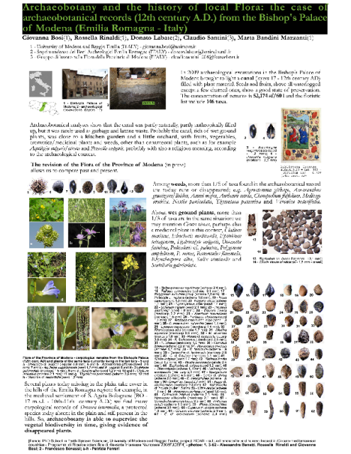 Bosi G., Rinaldi R., Labate D., Santini C., Bandini Mazzanti M., Archaeobotany and the history of local flora: The case of 12th century AD archaeobotanical records from the Bishop’s Palace of Modena (Emilia Romagna, Italy)