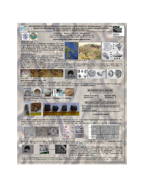 D’Oronzo C., Aruta G., Fiorentino G., Bread for the Gods: Macro and microscopical analyses of bread fragments from a religious context in southeastern Italy