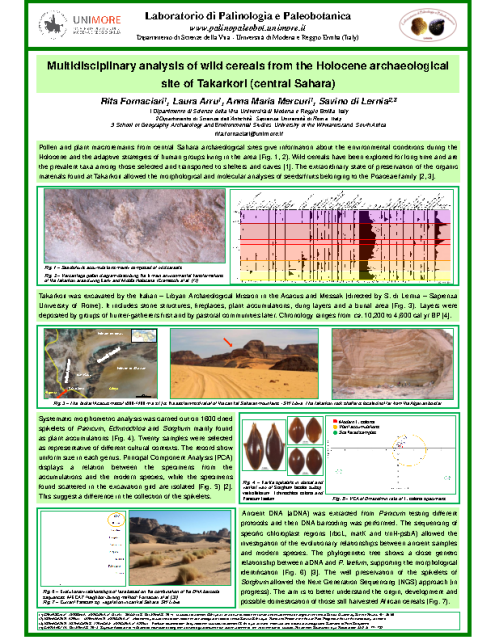Fornaciari R., Arru L., Mercuri A. M., Di Lernia S., Multidisciplinary analysis of wild cereals from the Holocene archaeological site of Takarkori (central Sahara)