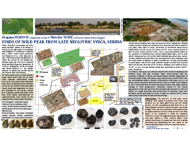 Filipović D., Marić M. Finds of wild pear from Late Neolithic Vinča, Serbia